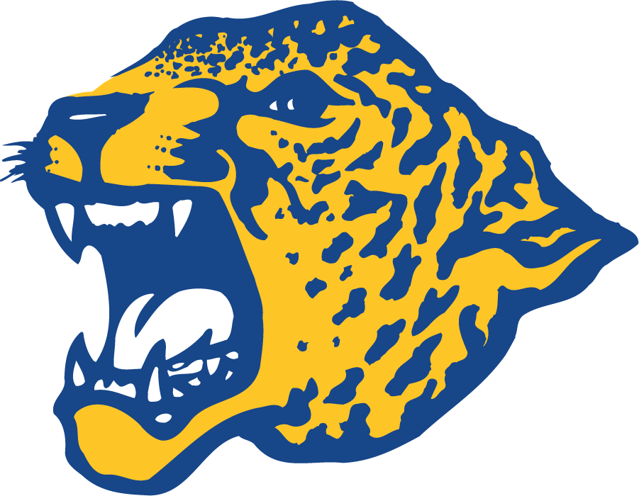 Southern Jaguars 1993-2001 Primary Logo iron on transfers for clothing
